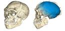 300.000 urteko Homo sapiens-en fosilak aurkitu dituzte Marokon